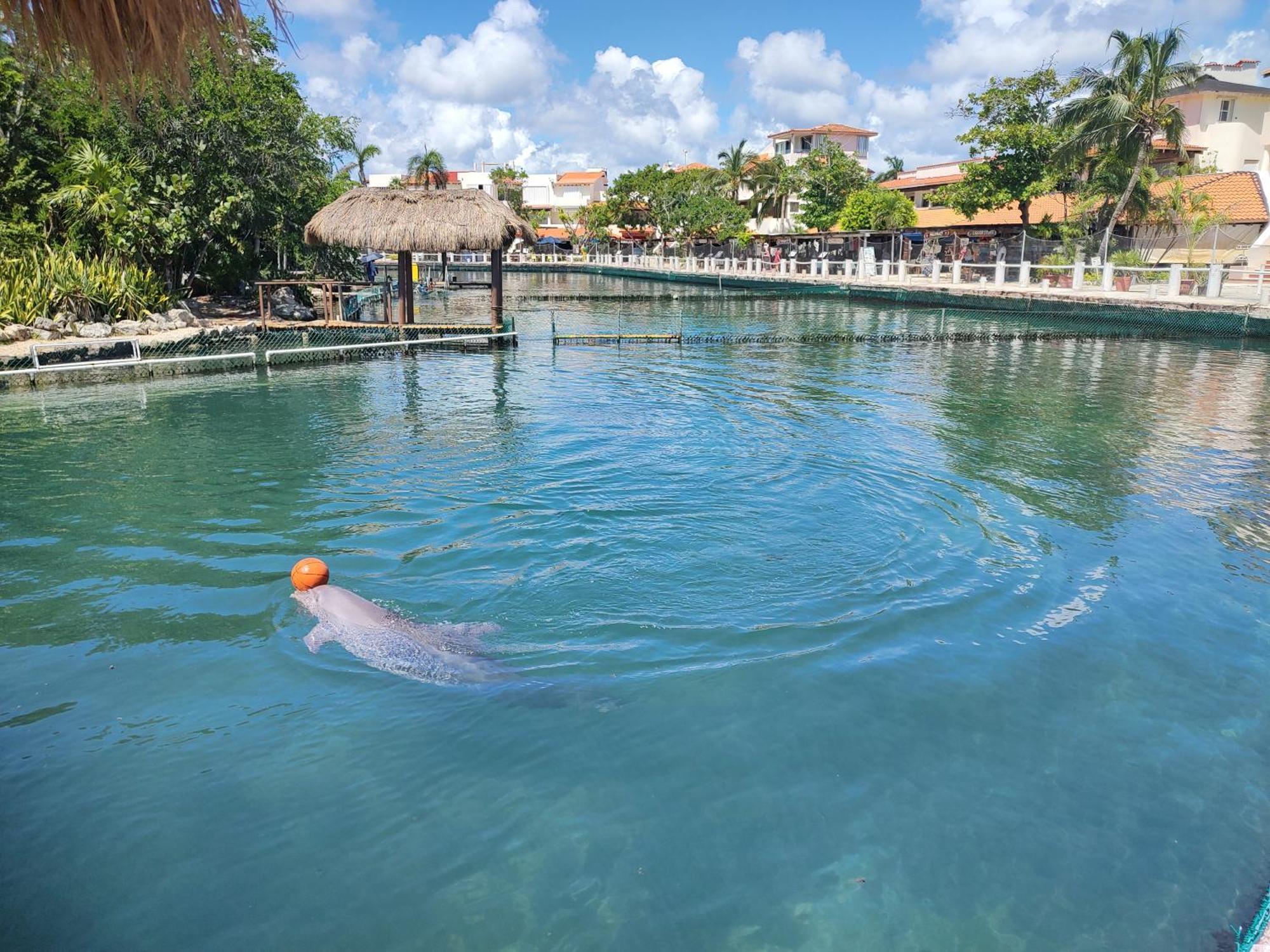 Private Rooms In A Hotel-Type Apartment - Super Located Puerto Aventuras Exterior foto